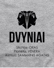 Dvynių stichija planeta Akmuo